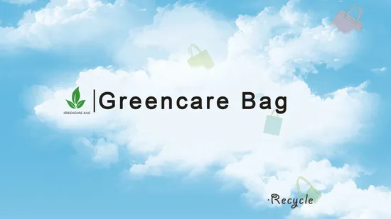 Custom 6 Pack Non Woven Insulated Thermal Lunch Cooler Bag Wholesale China Manufacture